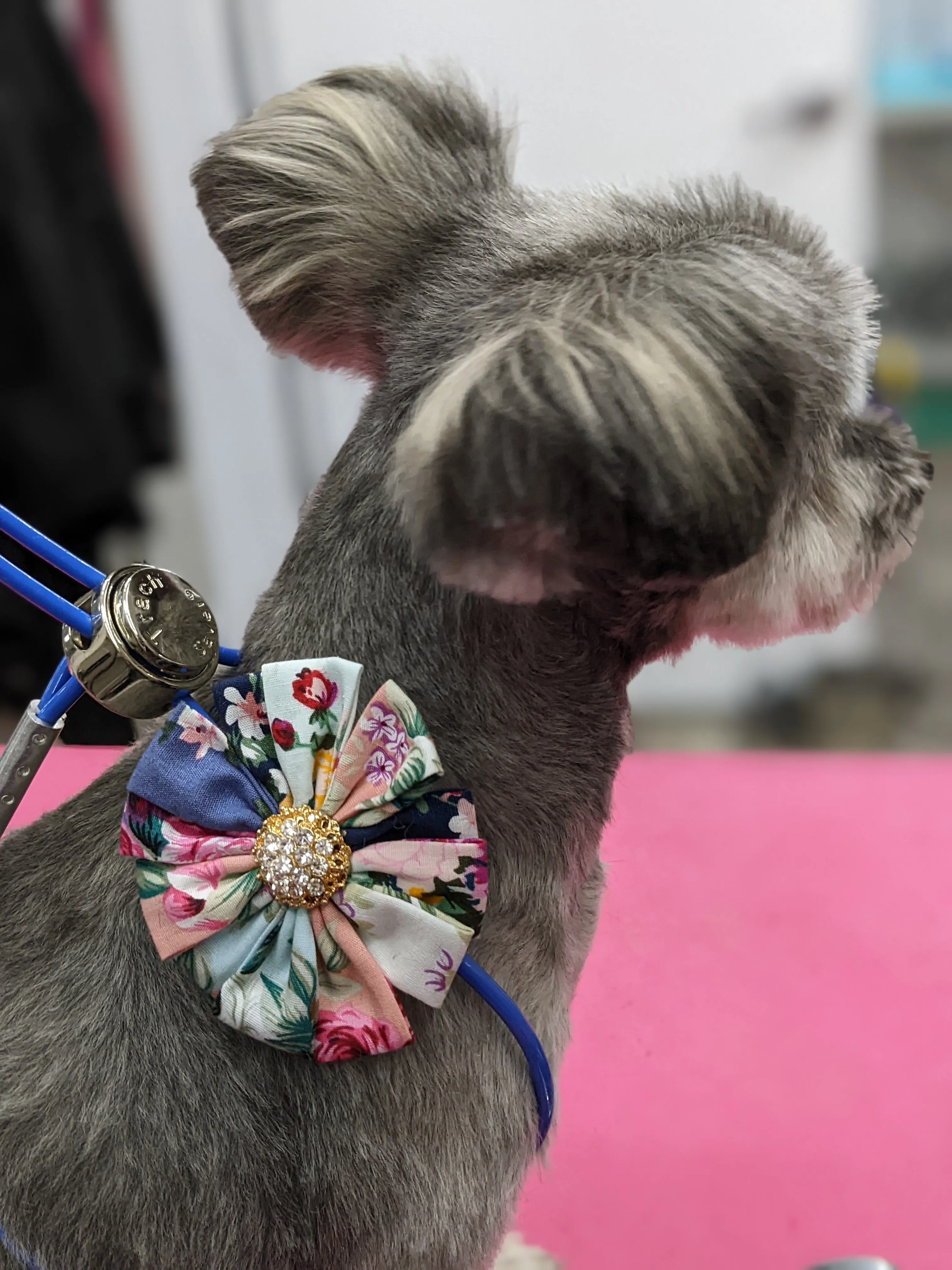 Bespoke Collar Blossoms & Bowties