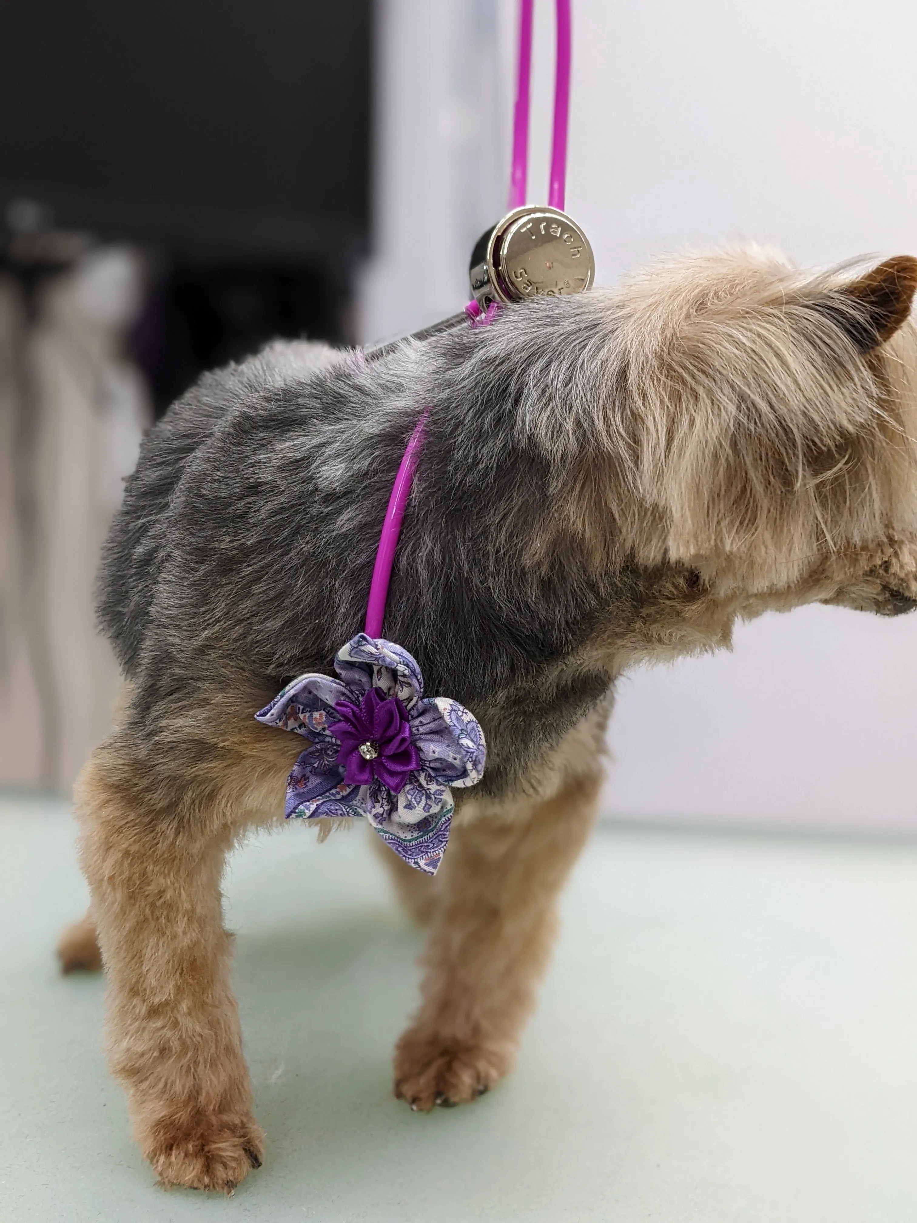 Bespoke Collar Blossoms & Bowties