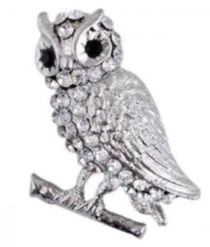 clear crystal owl pin Case of 2