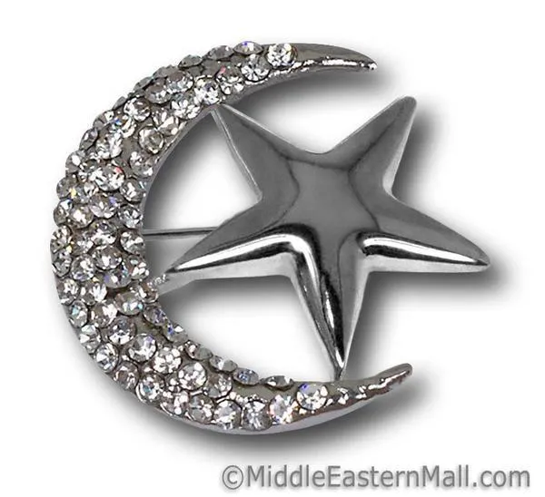 Moon & Star Brooch in Silver or Gold