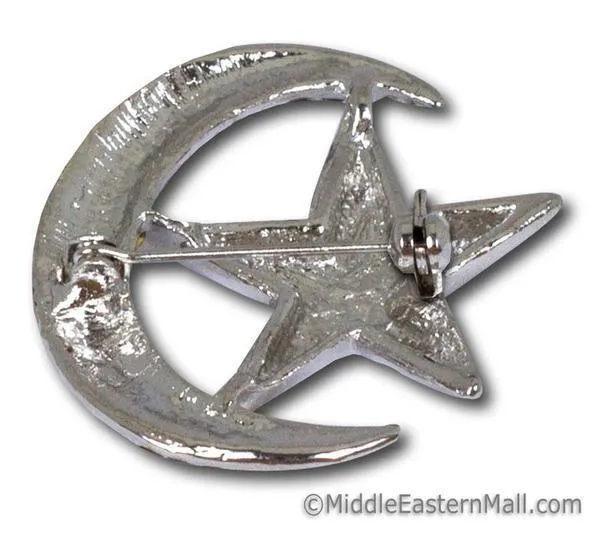 Moon & Star Brooch in Silver or Gold