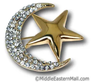 Moon & Star Brooch in Silver or Gold