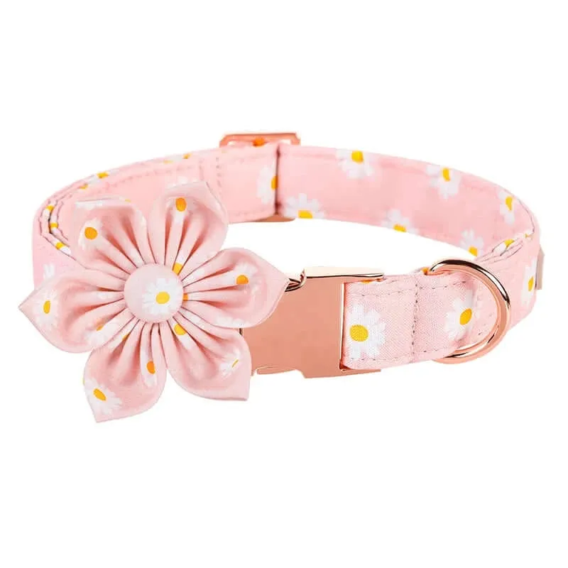 Personalized ID Tag Pink Daisy Summer Dog Collar & Leash